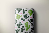 color-cactus